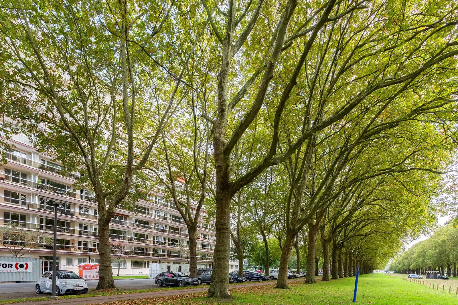Mooi gerenoveerd 3-slaapkamerappartement met 2 terrassen, garage en 2 kelderbergingen foto 28