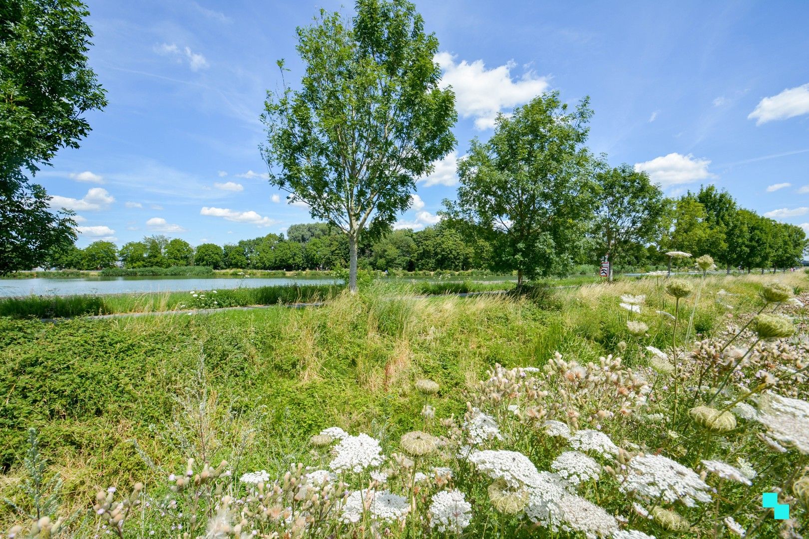 Bijna energieneutraal hoekapppartement aan kanaal Roeselare-Leie foto 24
