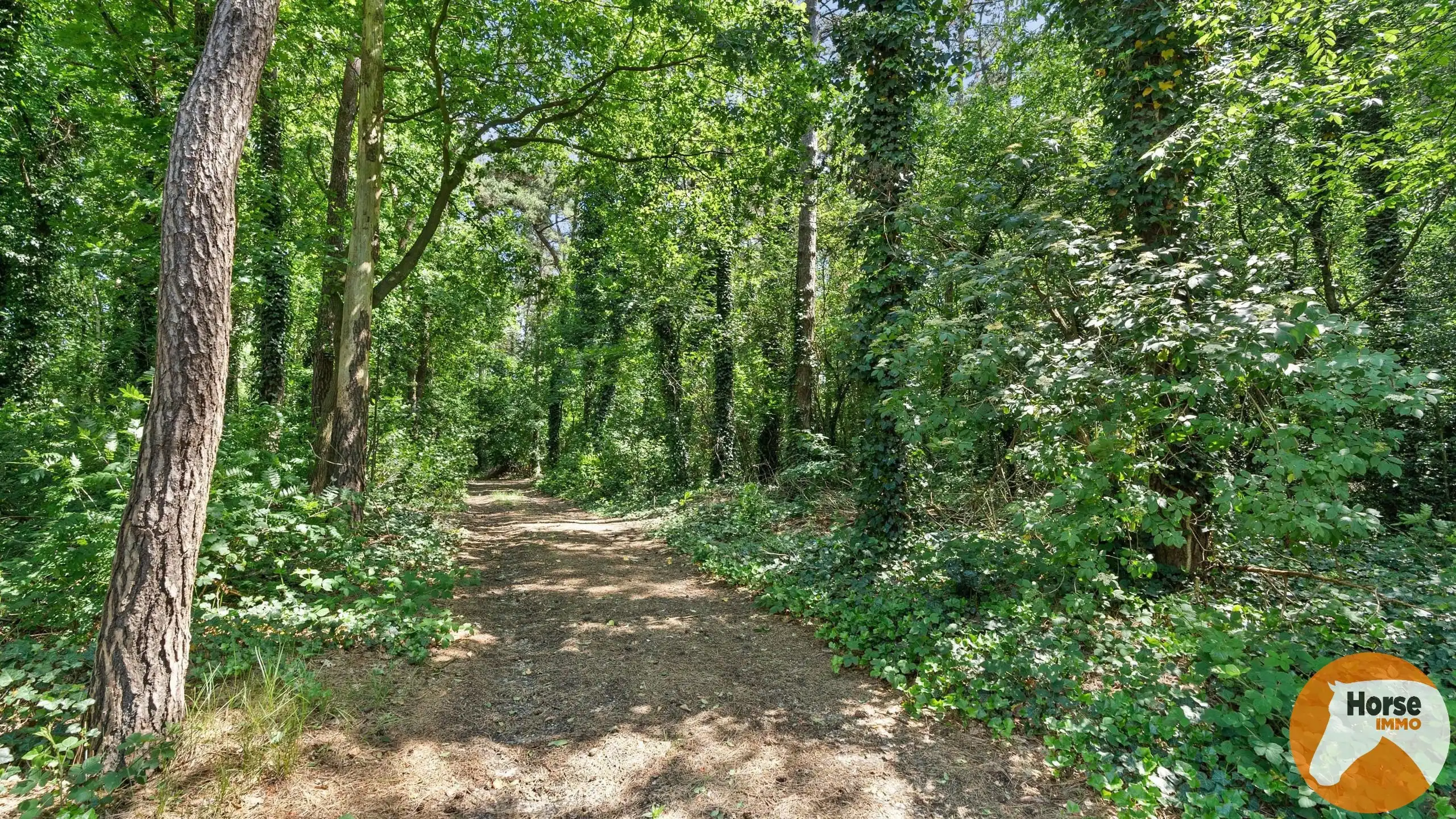 BERINGEN - Projectgrond foto 5