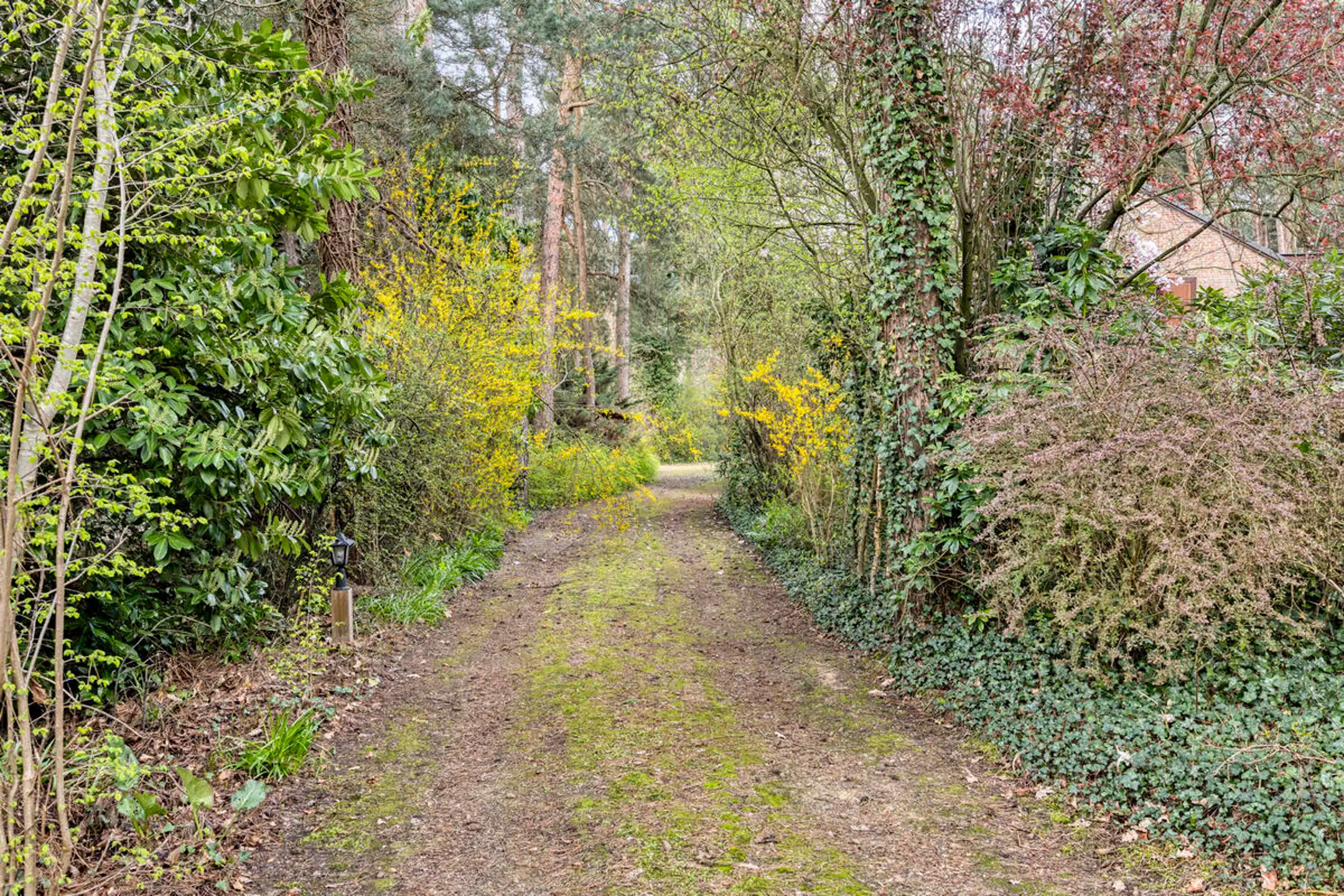 Uniek groen gelegen landhuis met eventuele praktijkruimte foto 11