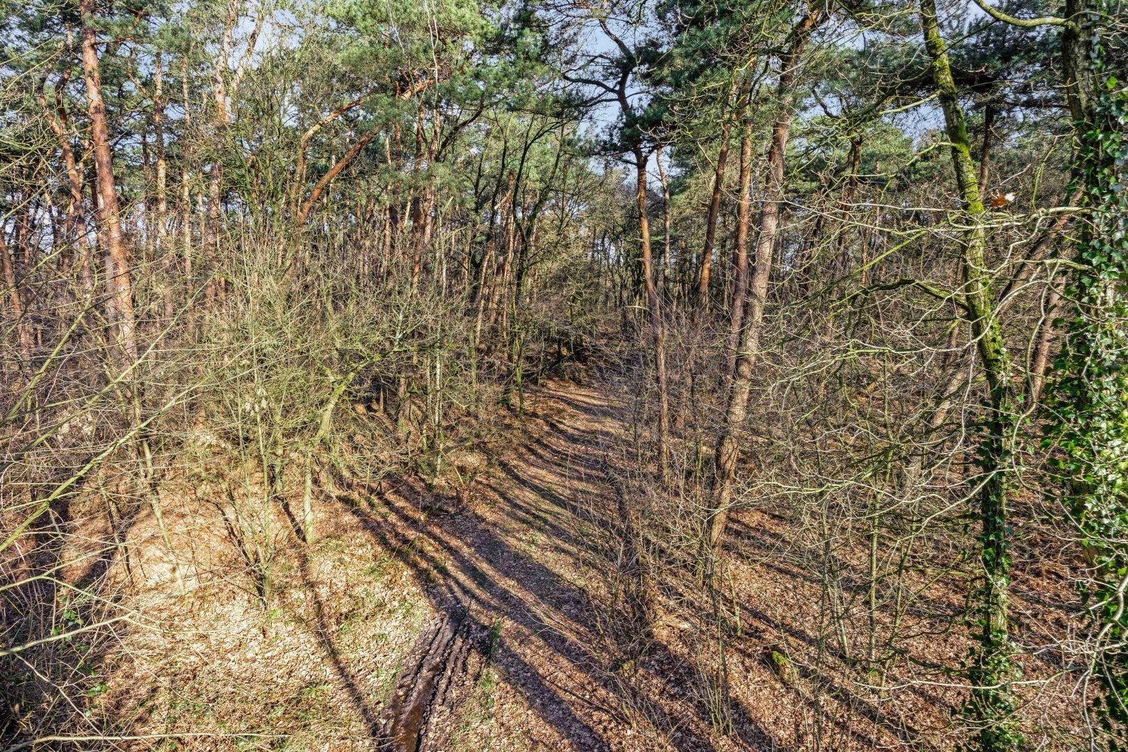 Unieke woonst op 360 are: rust, natuur en eindeloze mogelijkheden! foto 16