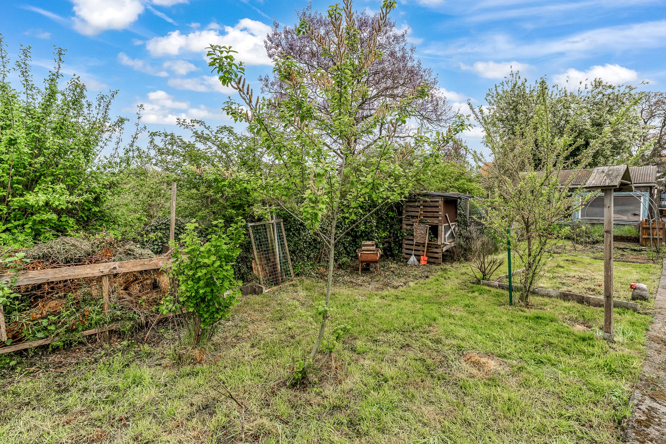 Instapklare woning met werkplaats te Vroenhoven foto 24