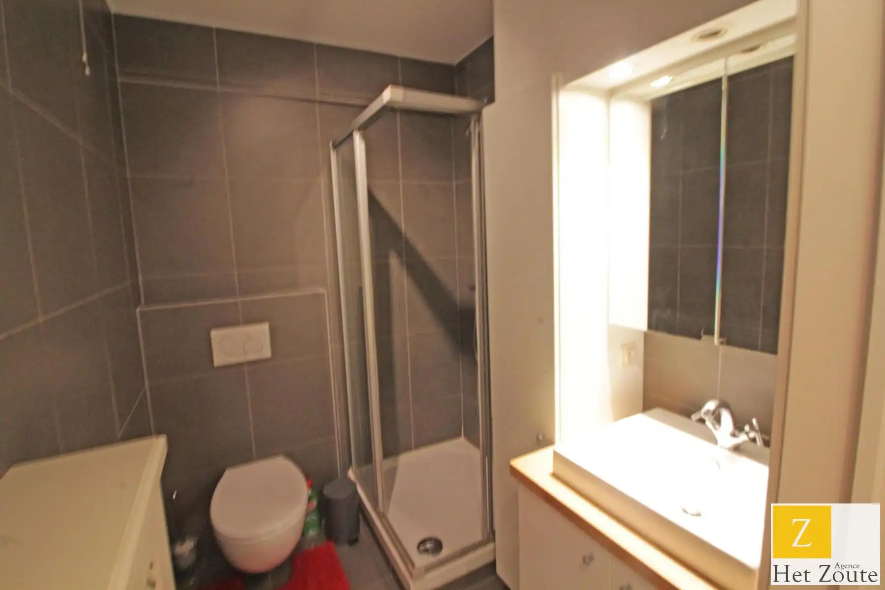 Aangenaam gemeubileerd appartement met 1 slaapkamer  foto 7