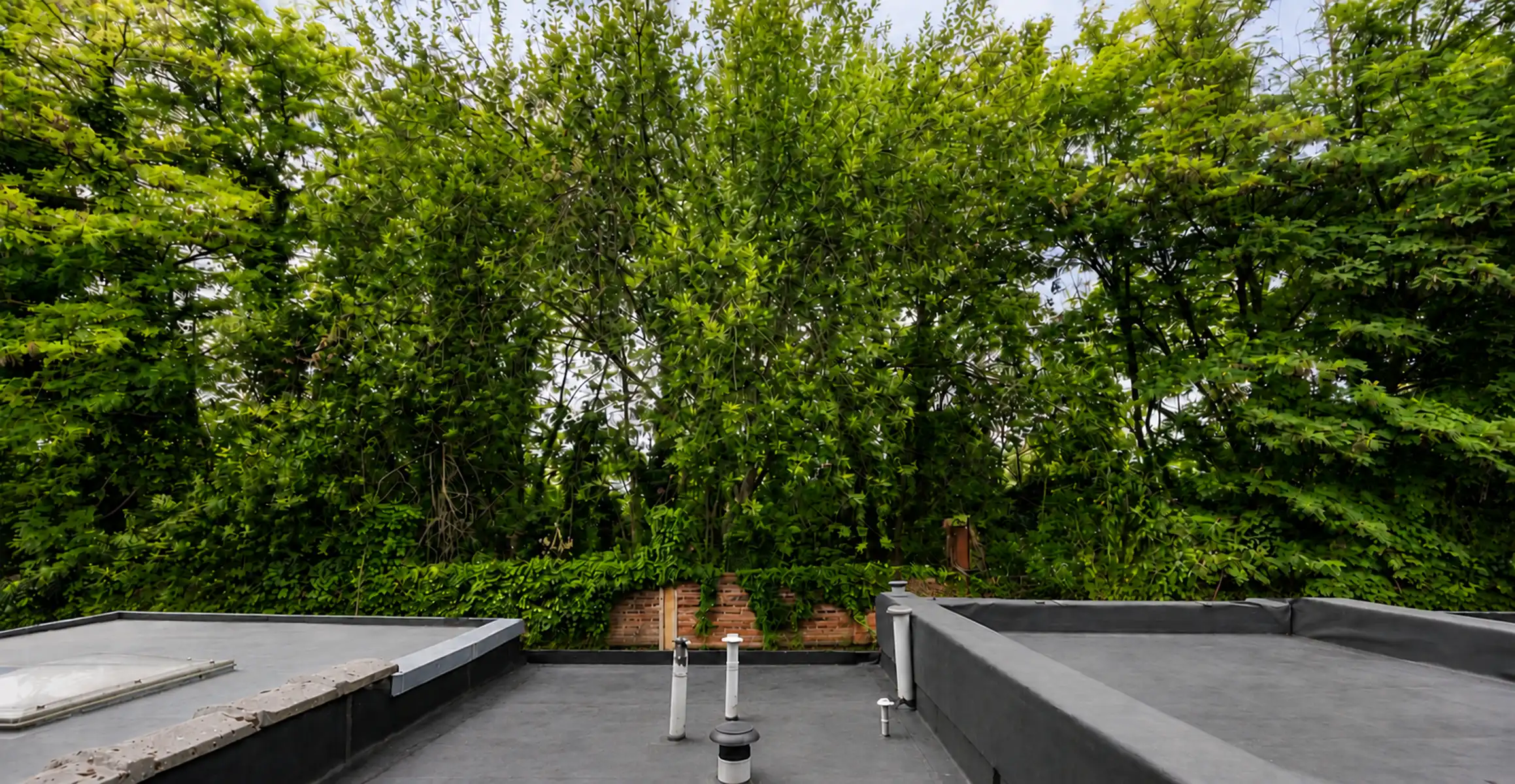 Lichtrijke, gerenoveerde woning in Boom foto 20