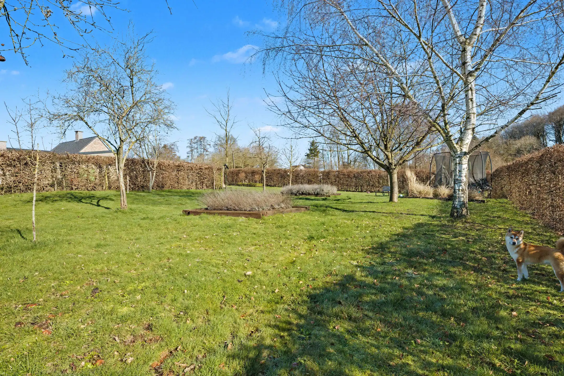 Instapklare ruime woning met unieke ligging nabij congoberg foto 2