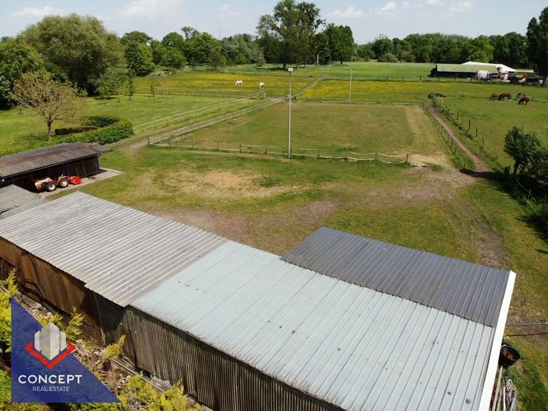 Instapklare woning met 3 slaapkamers met achterliggende paardenweides. foto 62