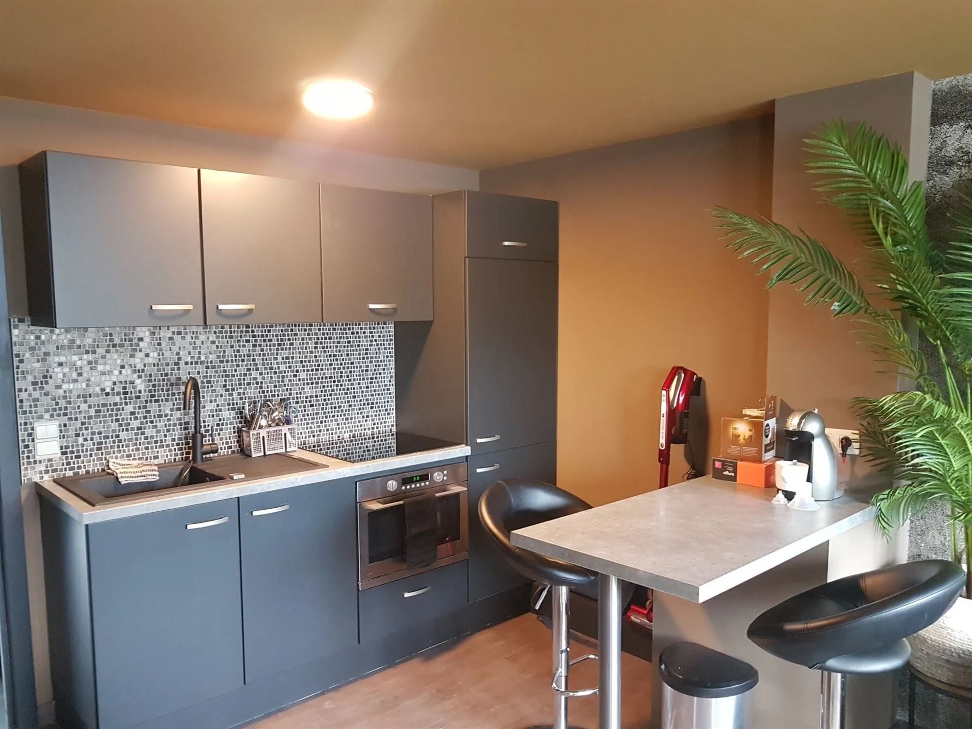 Gezellige gelijkvloerse studio met tuin foto 4