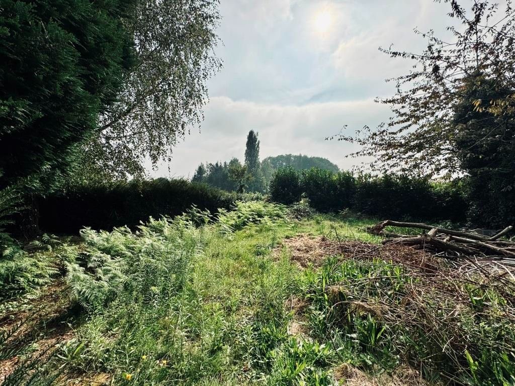 Unieke bouwgrond in het  landelijke Afsnee, nabij Gent foto 3