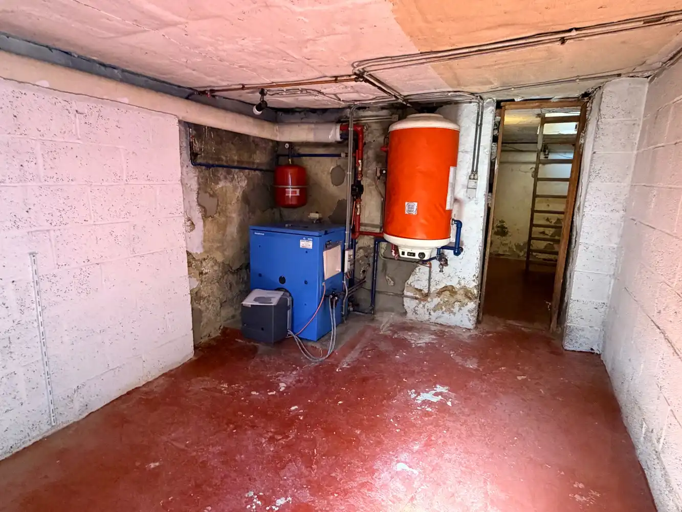 Charmante woning met prachtig groen uitzicht en veel potentieel in Kessel-Lo foto 22
