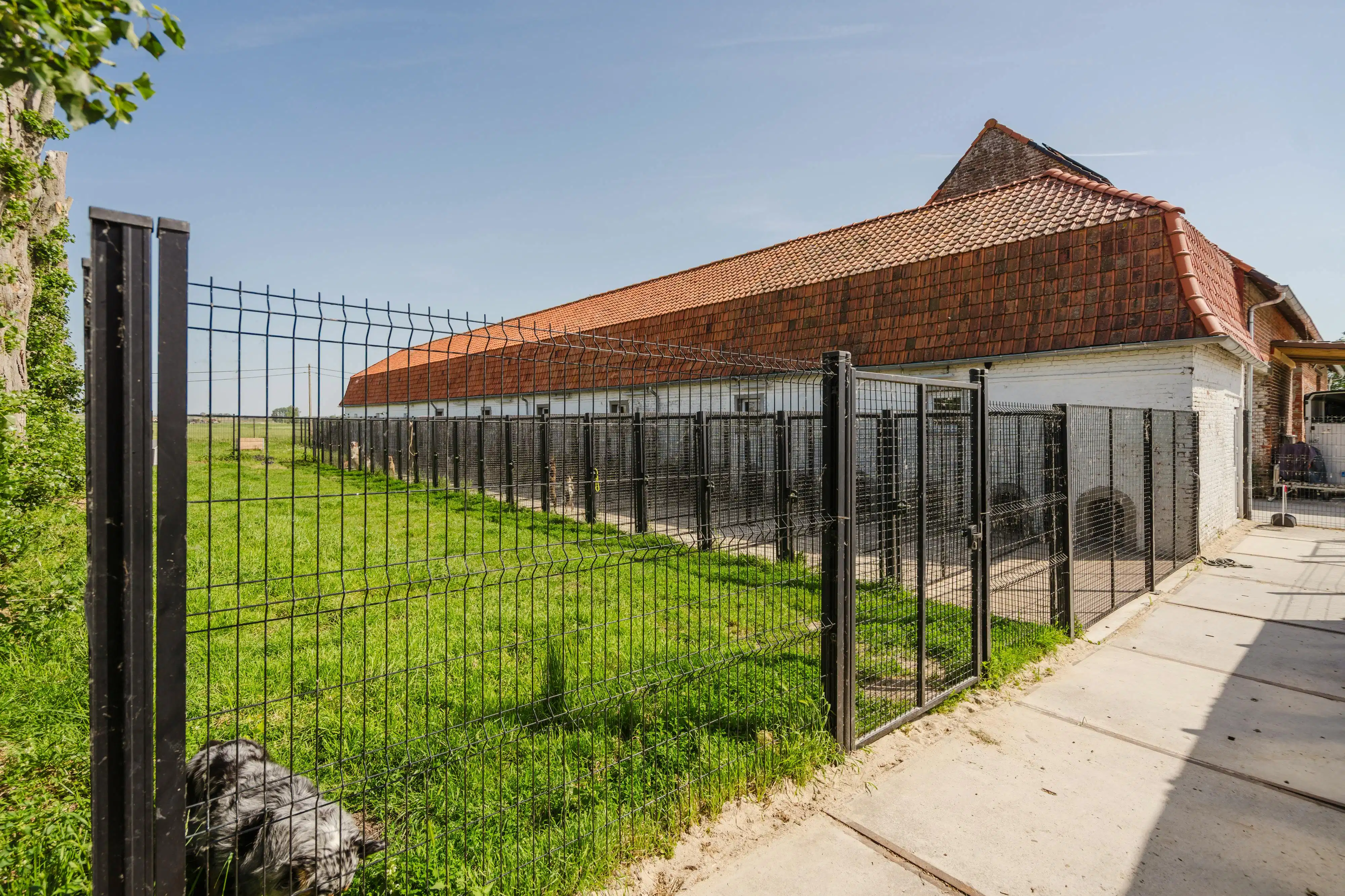 Karaktervolle hoeve met open zicht op de Kemmelberg en tal van mogelijkheden op 7.425 m² foto 32