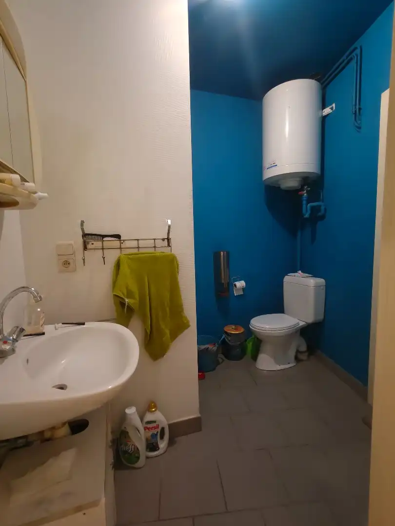 Gelijkvloers appartement te Lokeren foto 5