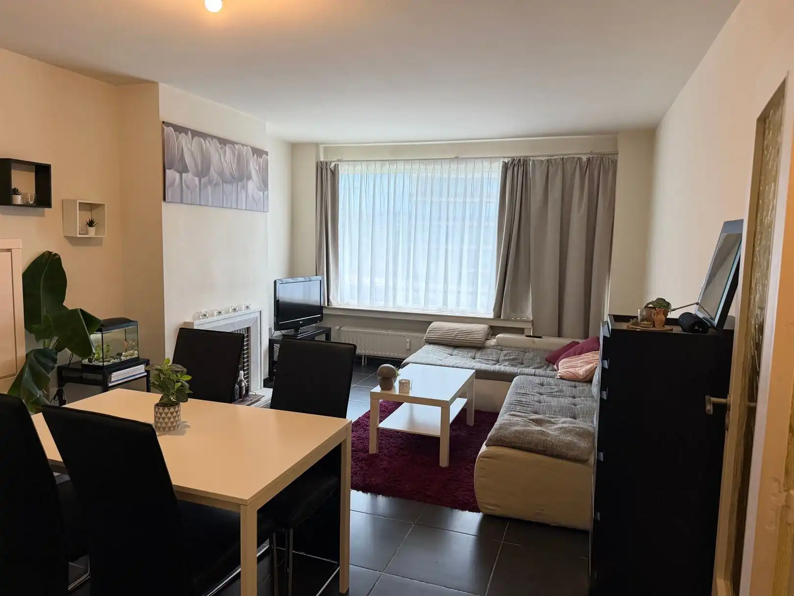 Appartement foto 5