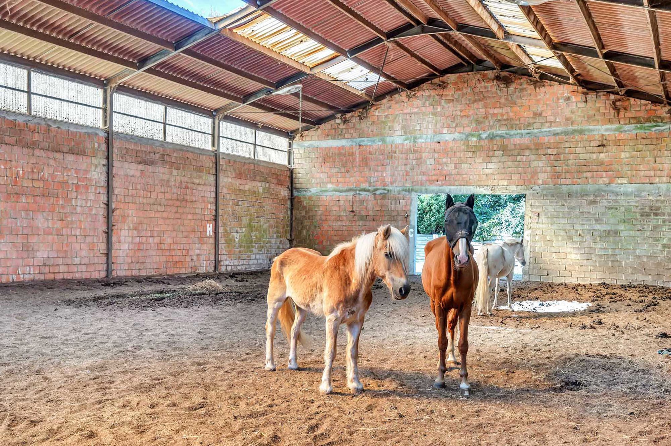 Uitzonderlijke pand op meer dan 60 are in Lessen foto 7