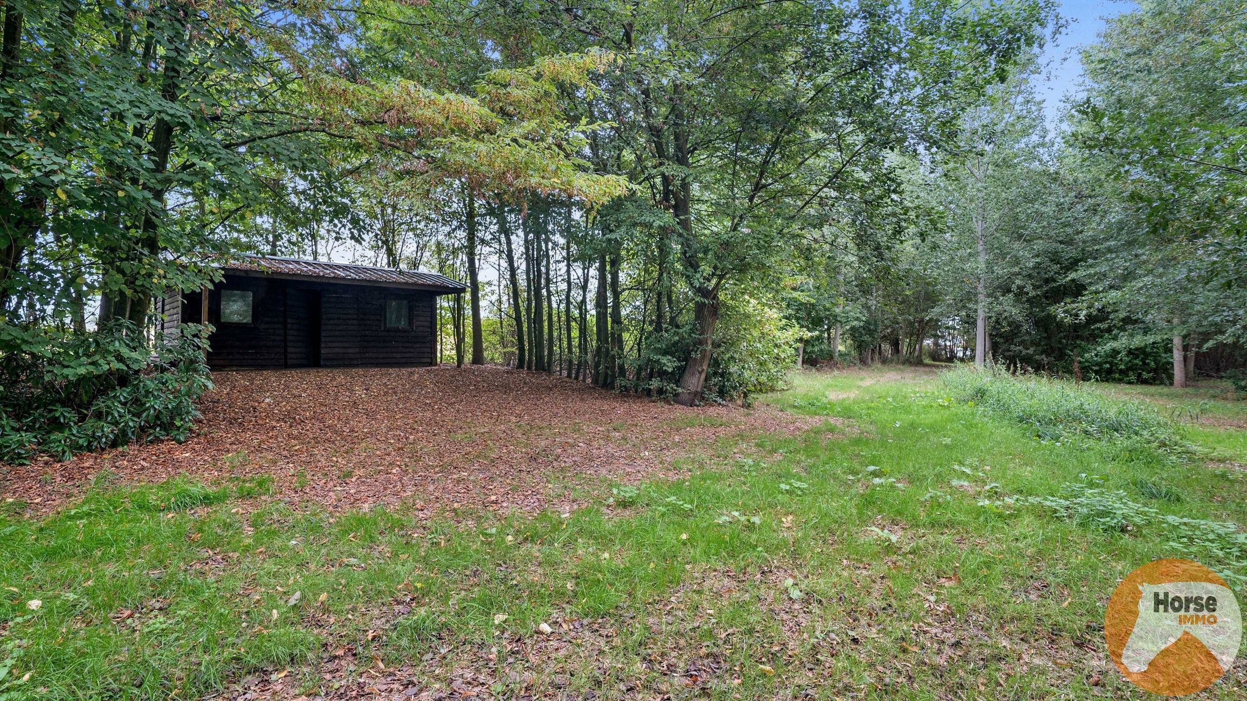 OOSTERZELE - Landelijk gelegen woning met stallen, weides  foto 10