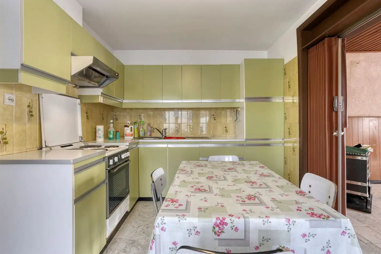 Woning met 4 slaapkamers + garage + weide foto 7