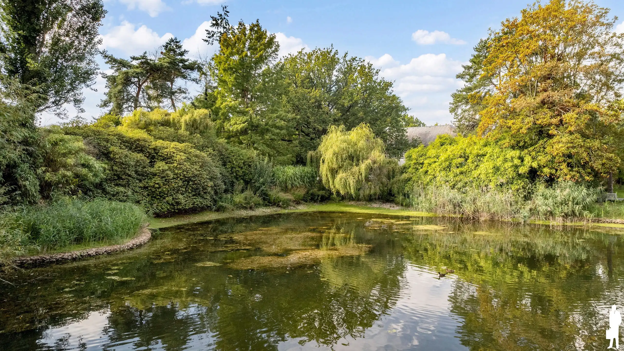 In Vriesdonk, statige villa met parktuin en prachtige gemeenschappelijke vijver waardoor men een weids uitzicht heeft. foto 2