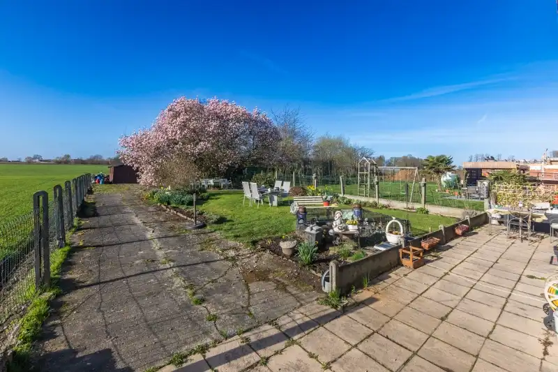 Landelijk gelegen, volledig te renoveren halfopen woning op 1823m². foto 5