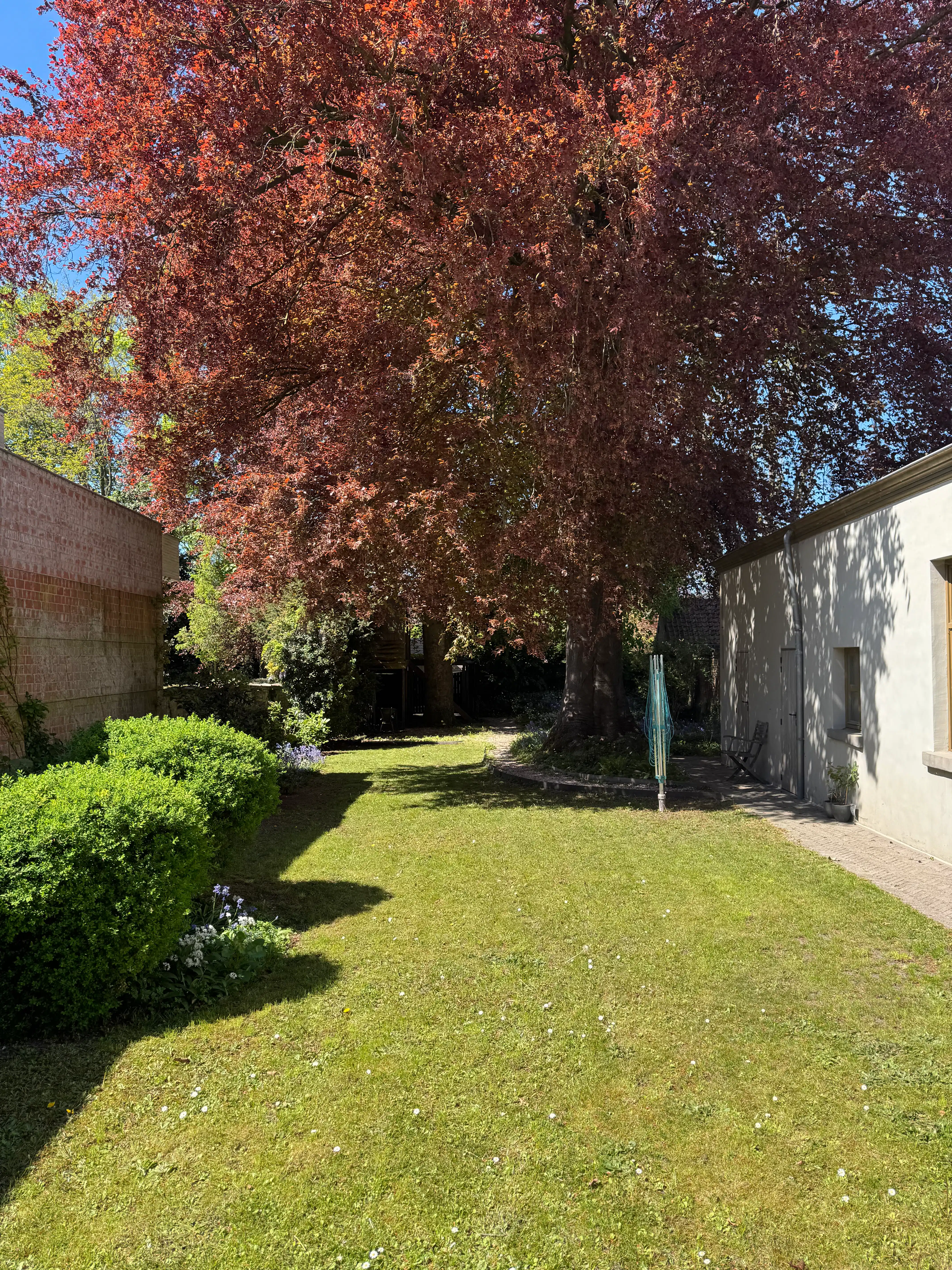 La Maison du Juge, een karaktervolle eigendom, gelegen in het centrum van Lievegem foto 13