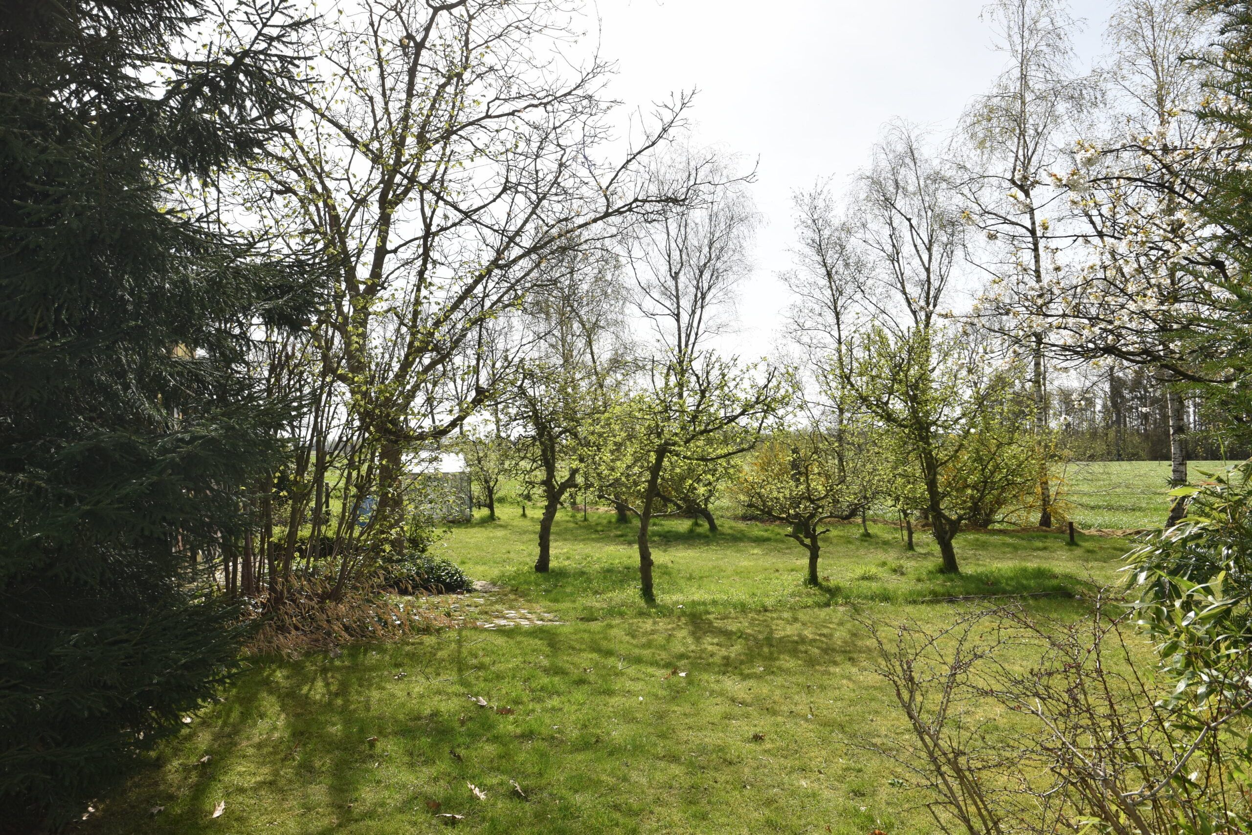 Prachtige tijdloze villa (3 slpks) met mooie tuin in Belsele. foto 8