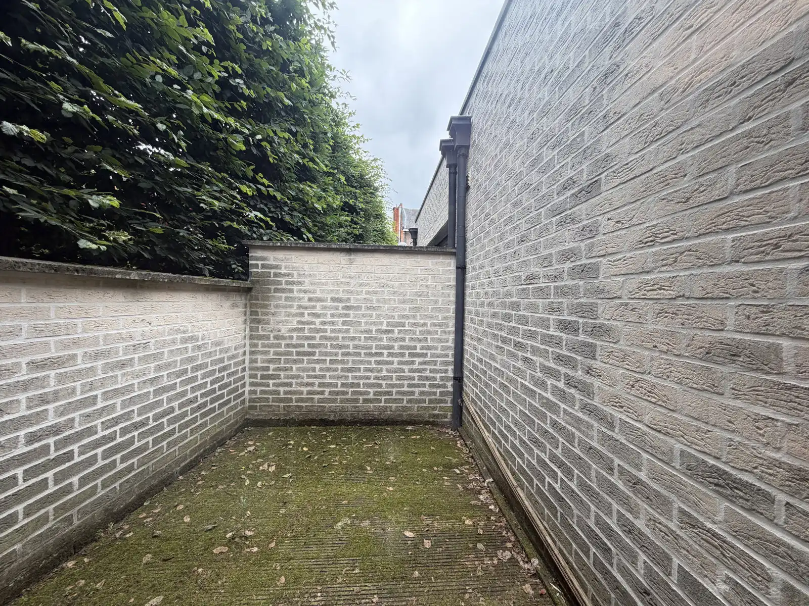 Gunstig gelegen commercieel gelijkvloers in centrum Ekeren! foto 7