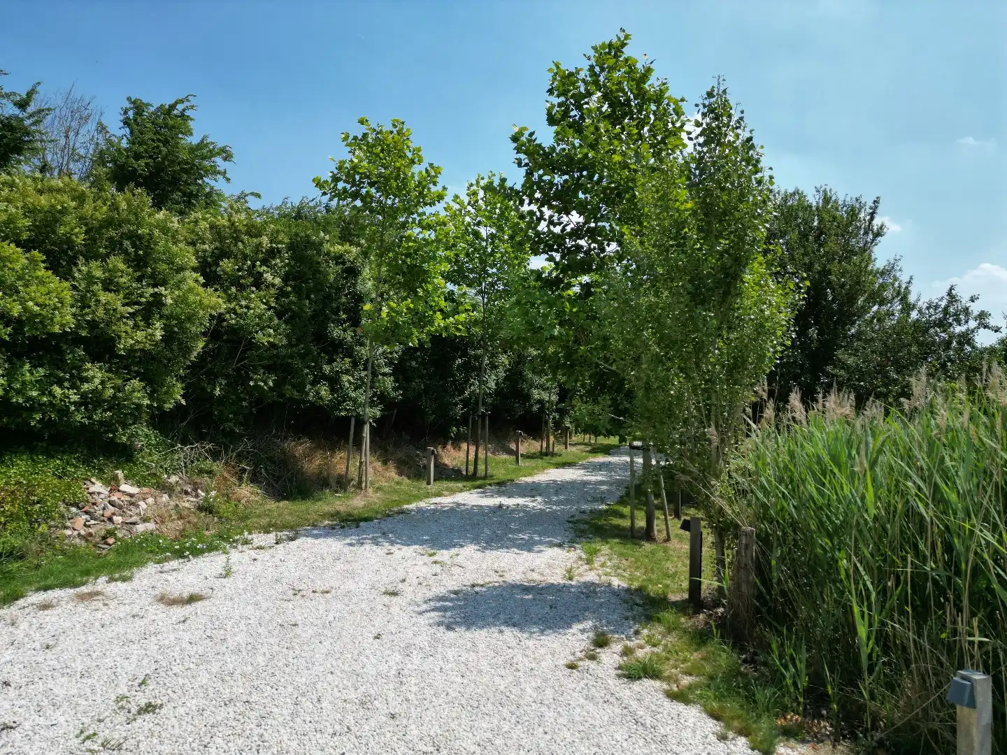 Exclusieve dijkwoning met eigen guesthouse foto 46