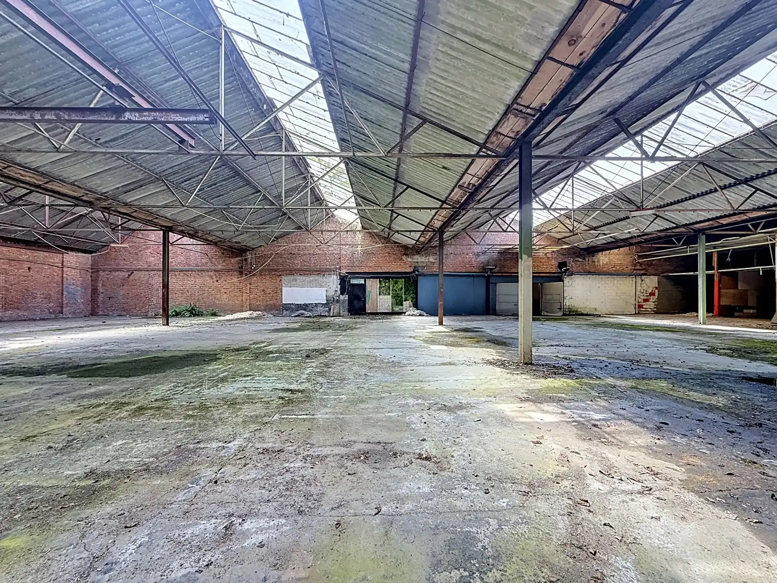Unieke projectgrond met potentieel in Zichem foto 21
