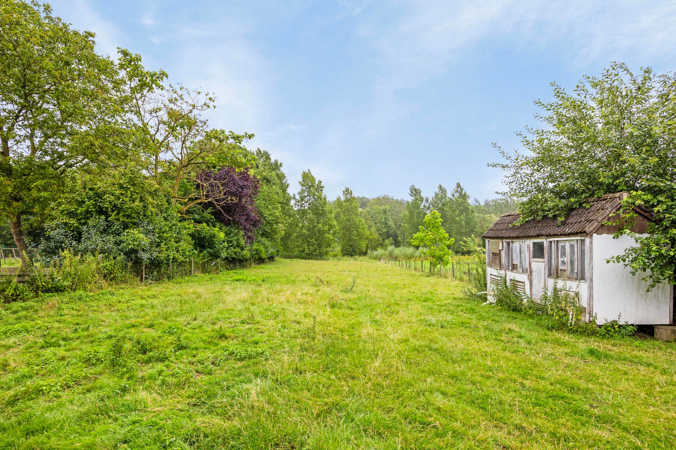 Te renoveren hoeve op ruim perceel foto 14