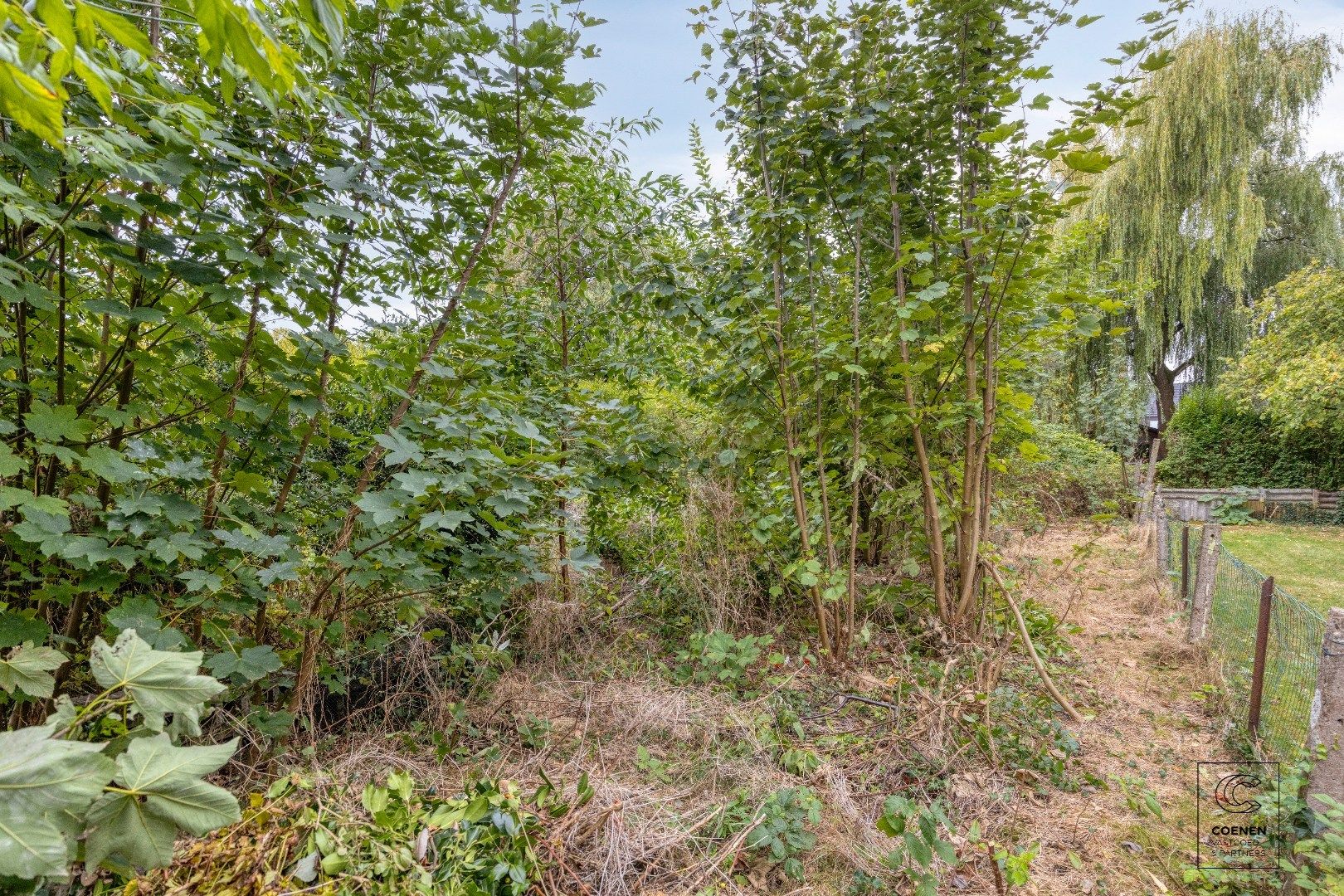 Te renoveren halfopen bebouwing met 2 à 3 slaapkamers op TOPlocatie te Brasschaat foto 18