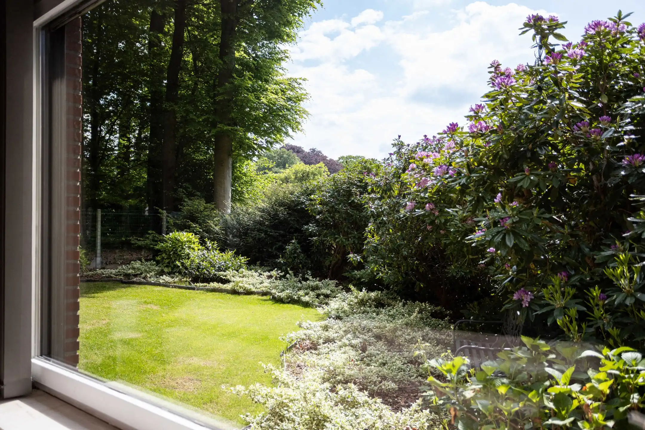 Te moderniseren bungalow met bos in Louise-Marie foto 24