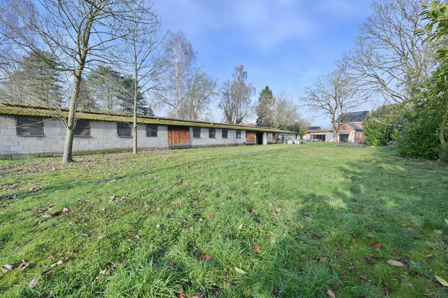 Prachtig gerenoveerde villa woning, gelegen in een rustige straat met bijgebouw 500m² foto 3
