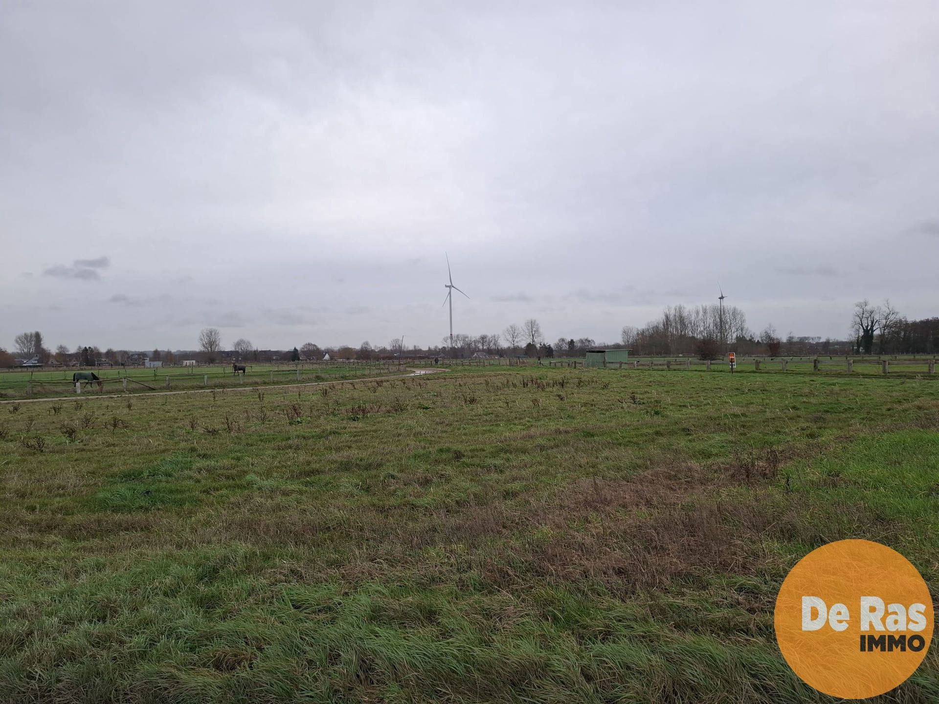 HAALTERT– Perceel weiland van 35a 76ca foto 5