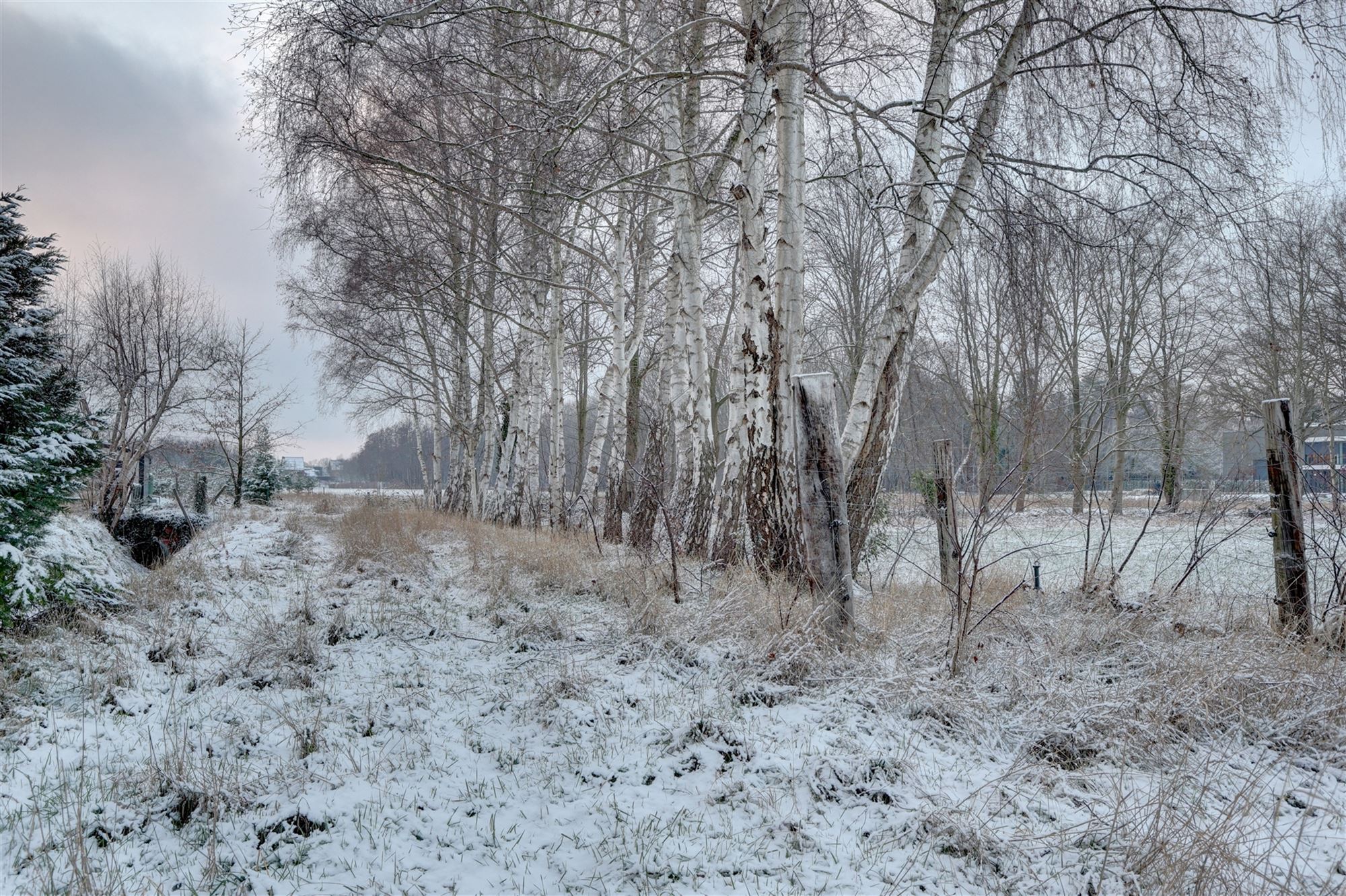 Idyllische paardenweide / bosgrond in Bonheiden foto 10