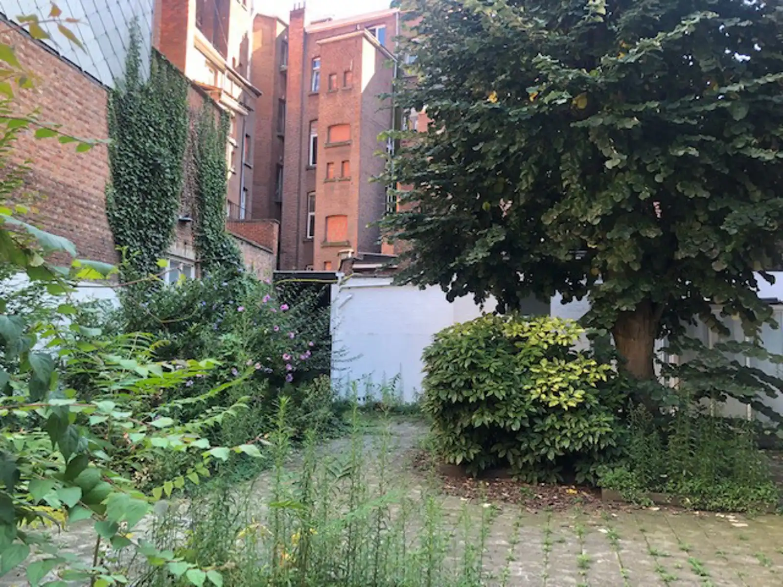 Uniek commercieel gebouw te huur met privatieve stadstuin foto 11