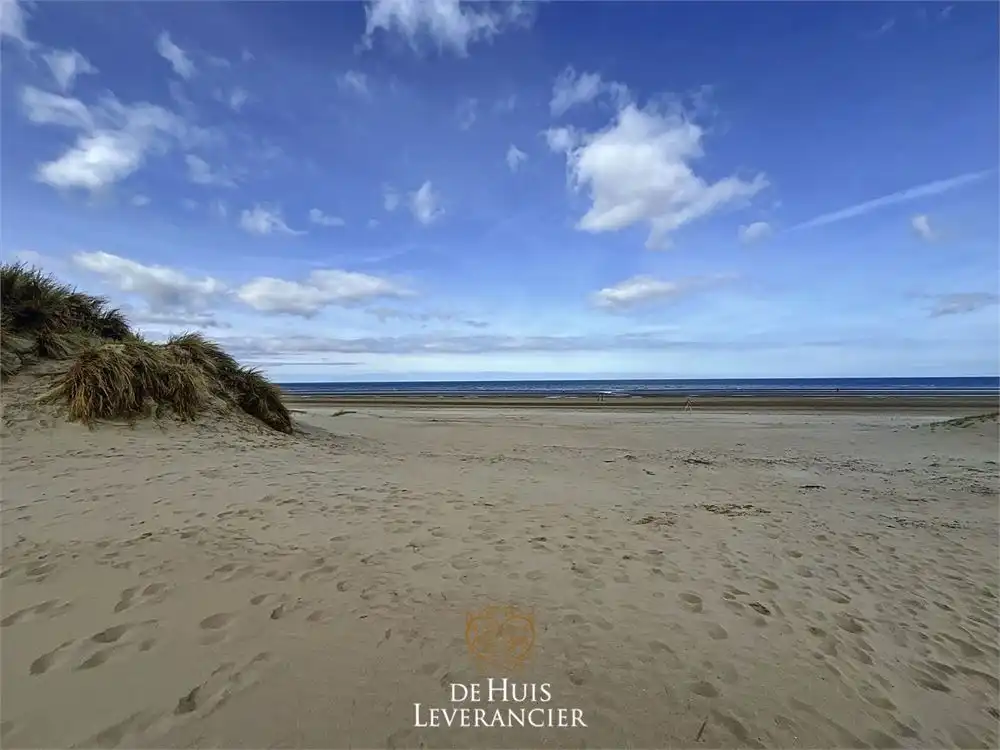 Grote garage met staanplaats te koop in Koksijde foto 5