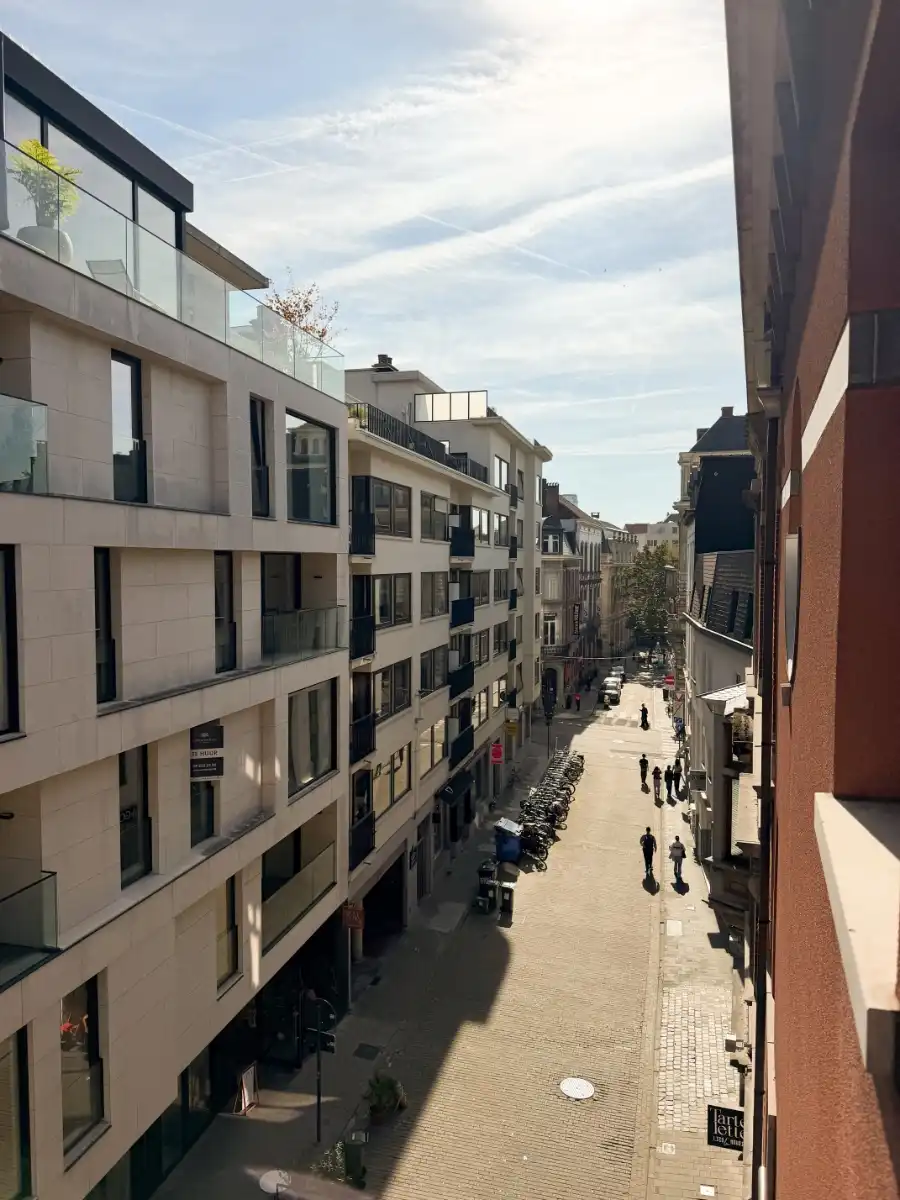 Gerenoveerd 2-slaapkamerappartement met uitzicht op Sint-Baafskathedraal foto 29