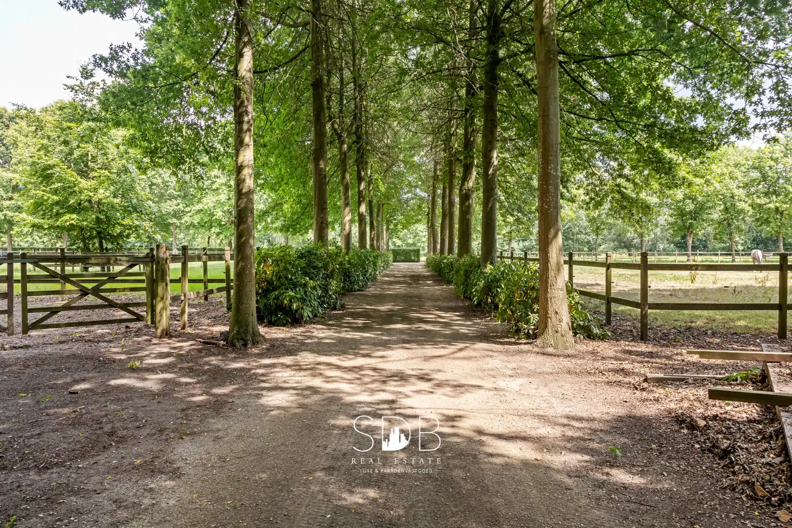 Prachtige landelijke villa met gezinstuin en graslanden op 32.558m² foto 46