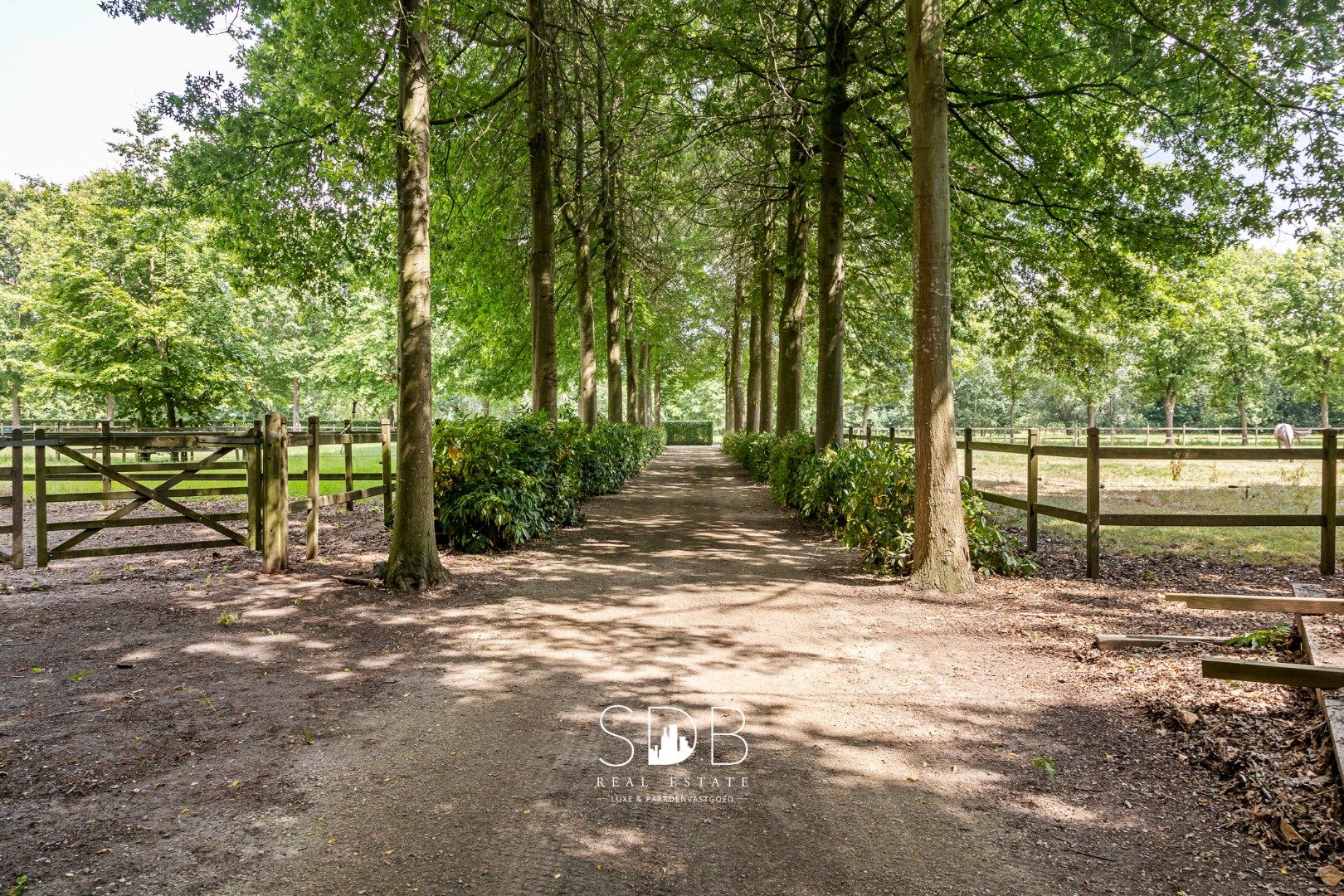 Prachtige landelijke villa met gezinstuin en graslanden op 32.558m² foto 46