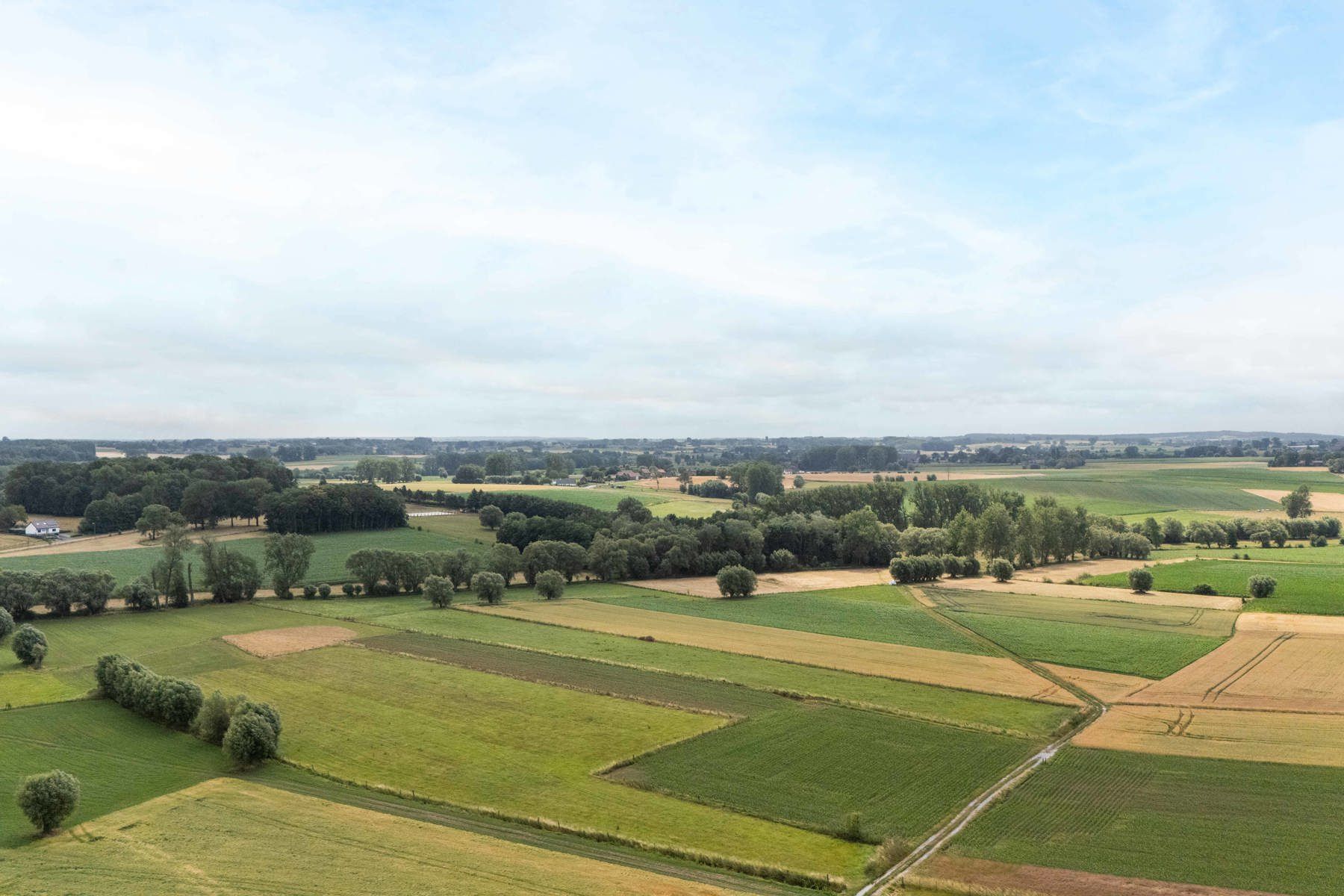 Aangename woning met 4slpk, tuin + garage  foto 24