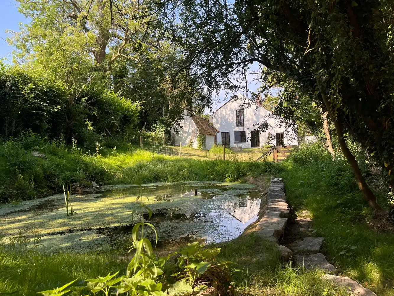 idyllisch 19e eeuws landhuis, unieke ligging omringd door een prachtig natuurgebied foto 4