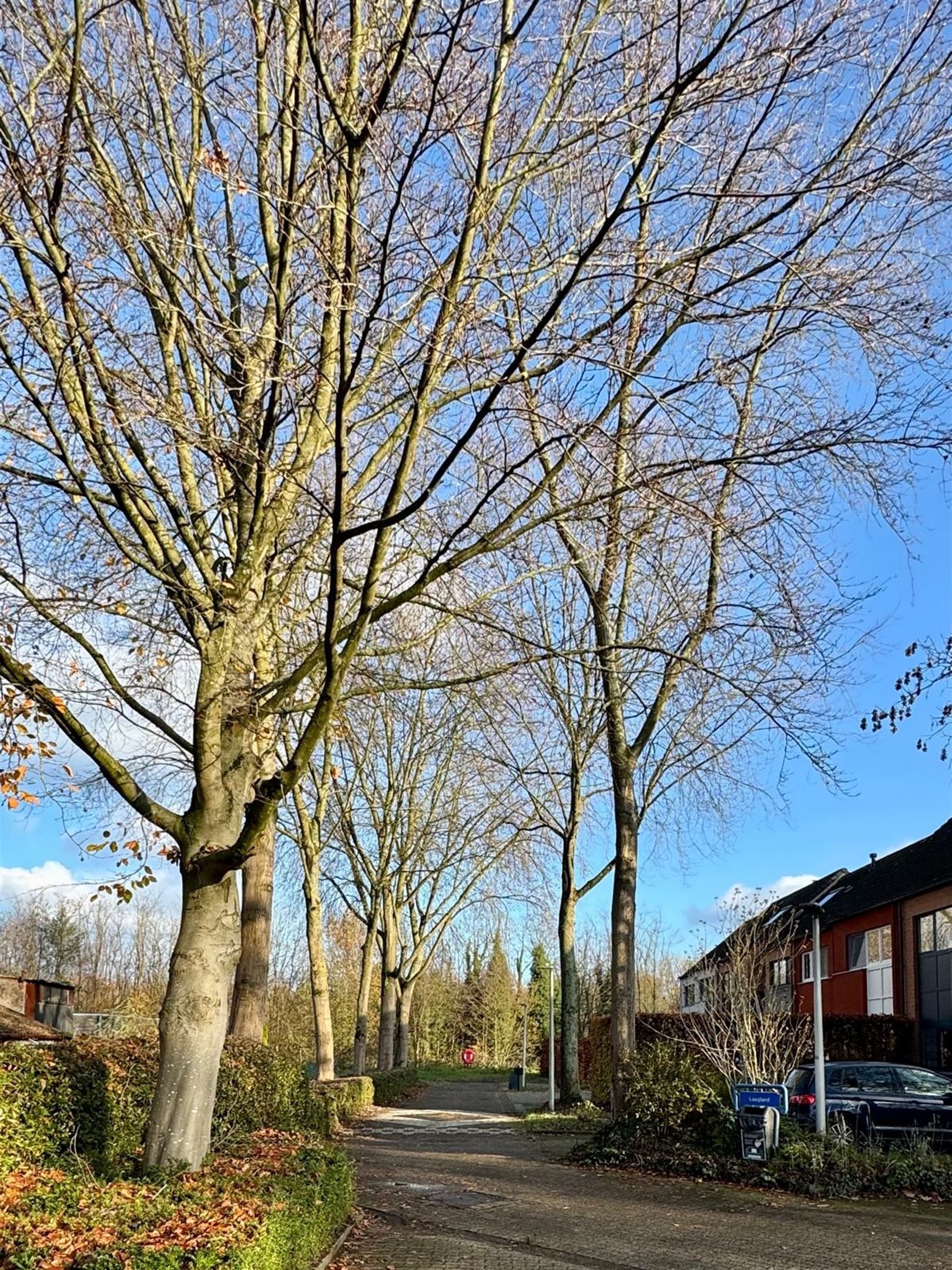 Te renoveren hoekwoning met uitbreidingspotentie foto 24