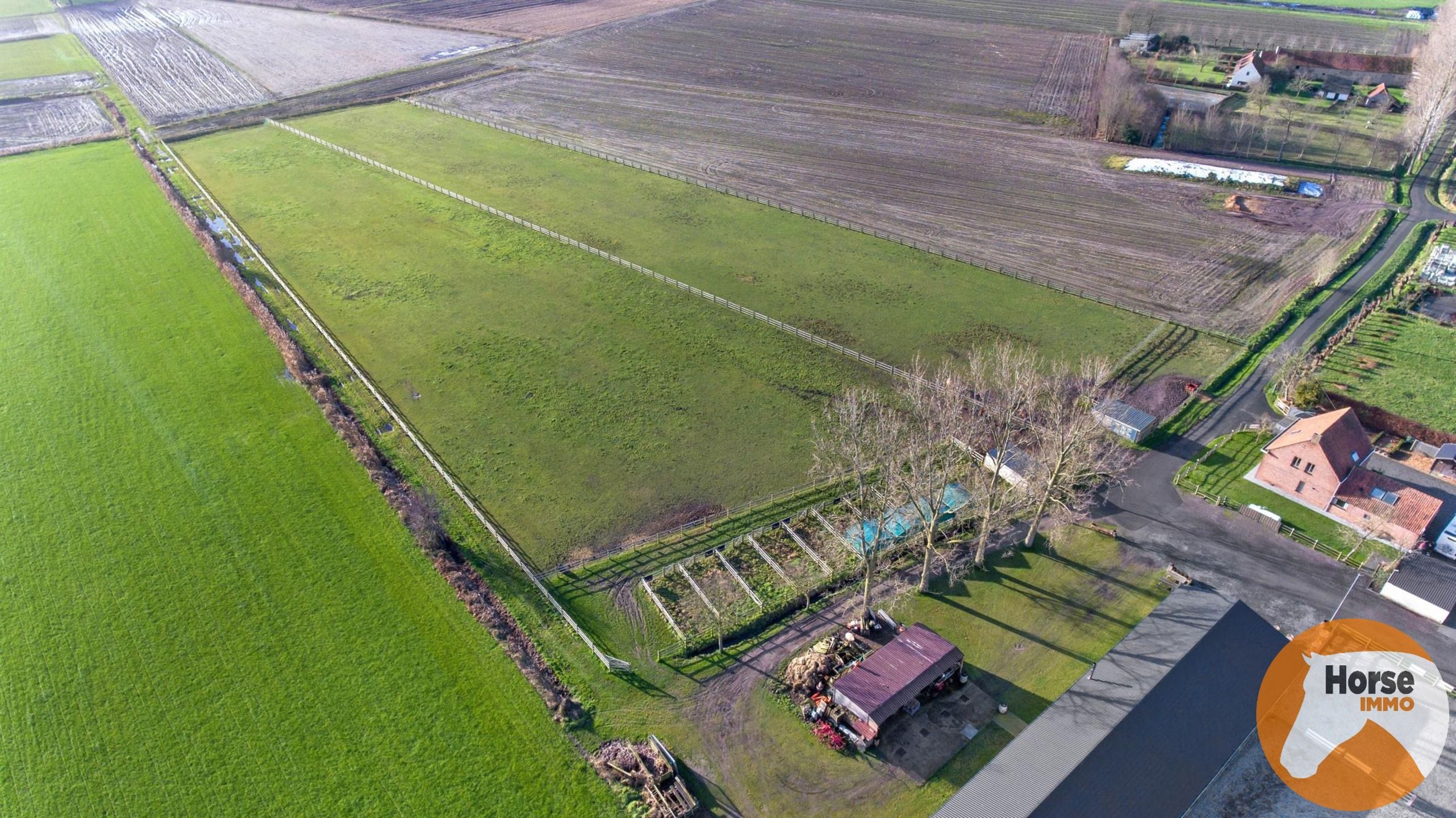 DAMME – Instapklare paardeneigendom, piste en extra woonhuis foto 4