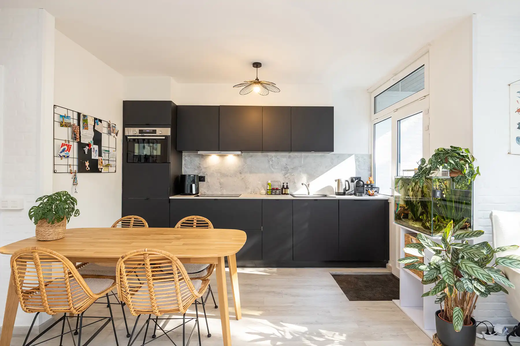 🌿 Kom binnen & ontdek | Zaterdag 25 juli van 10u - 12u foto 7