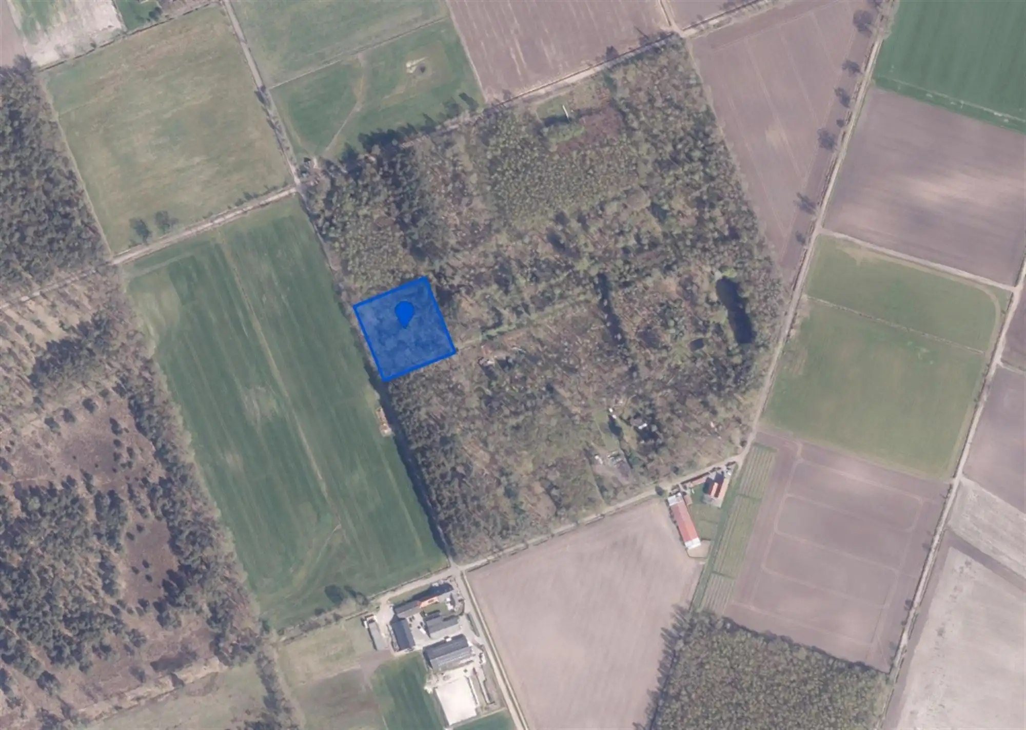 Bosperceel van 6.340 m² op rustige ligging te Oud-Turnhout foto {{pictureIndex}}