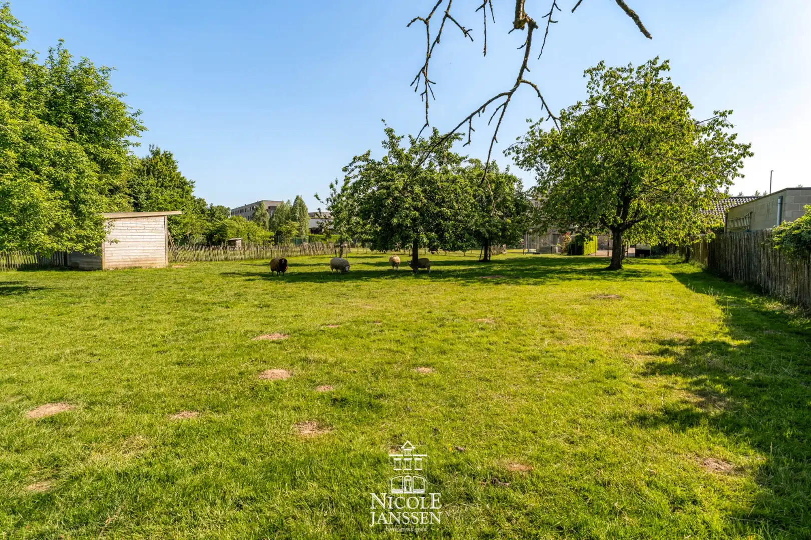 Gerenoveerde vierkantshoeve foto 20