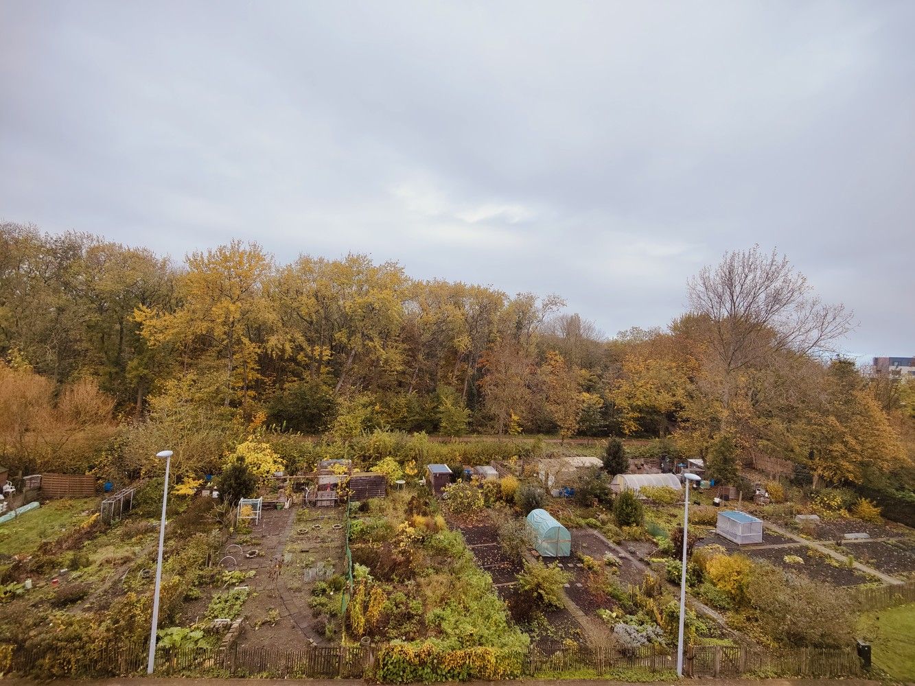 RESIDENTIE CHRISTA foto 11