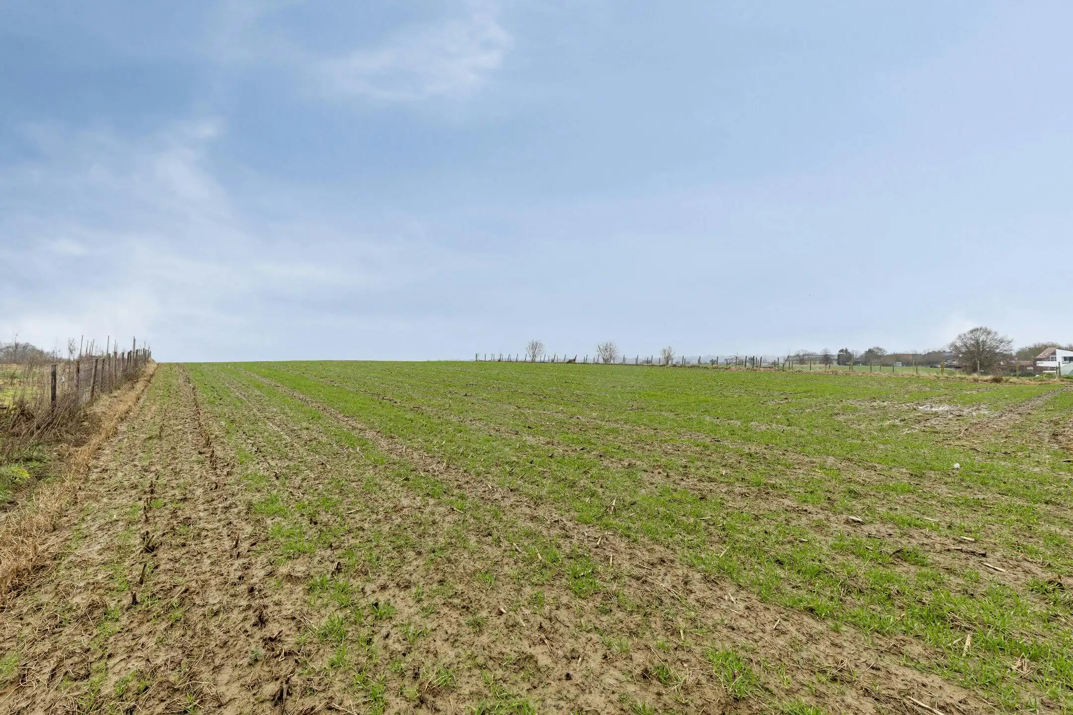 Unieke bouwgrond met verzicht te koop in Brakel foto 10