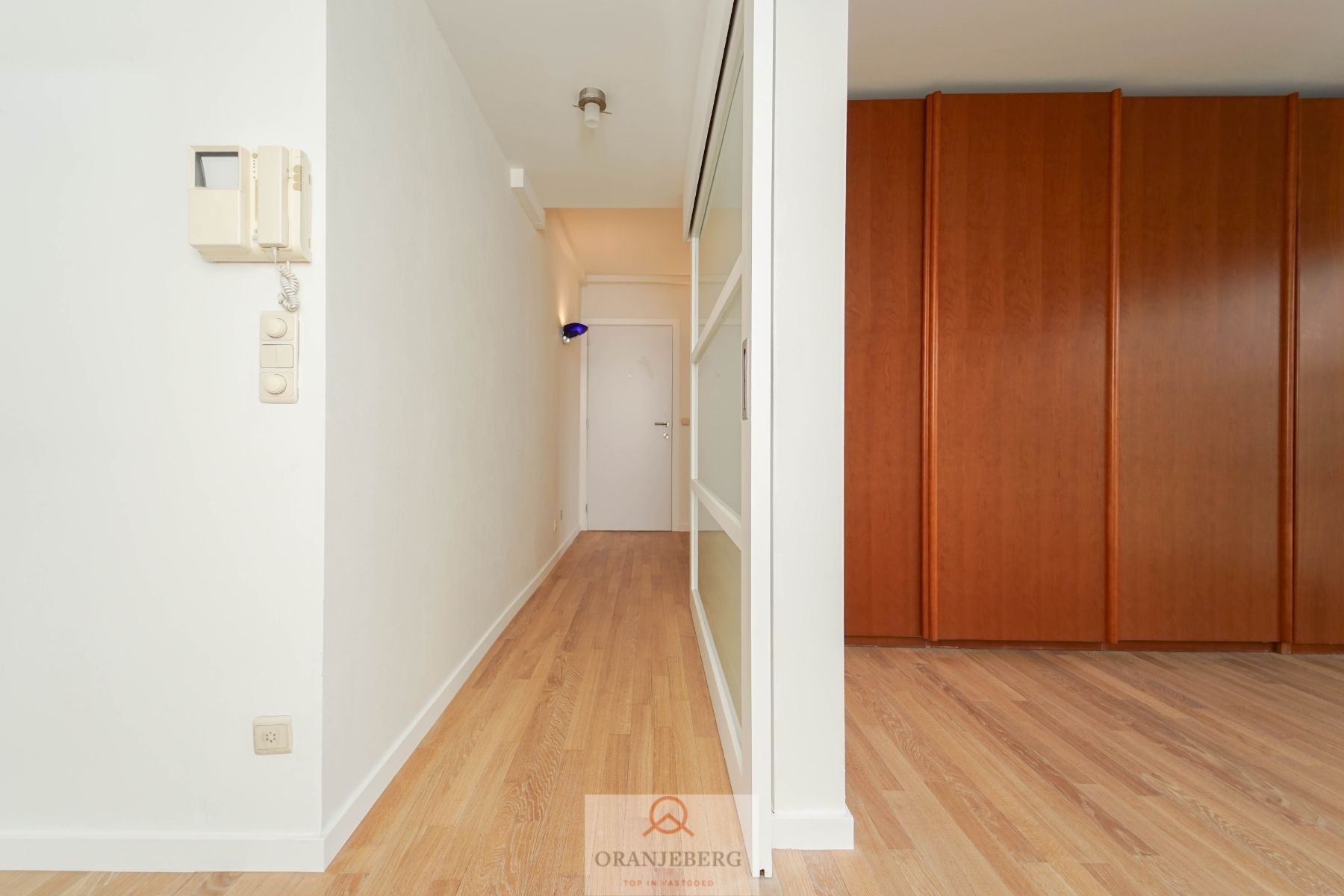 Lichtrijk en ruim appartement (102 m²) met zicht op het Zuidpark, Sint-Pietersabdij, Boekentoren foto 15