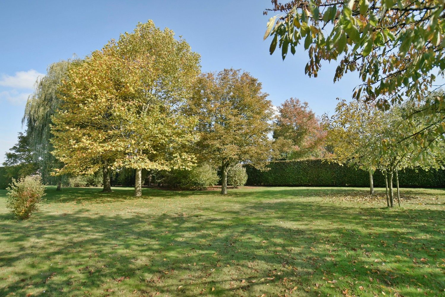 Schitterende bouwkavel van 17a 49ca (1.749 m²), rustig en landelijk gelegen te Lanaken foto {{pictureIndex}}