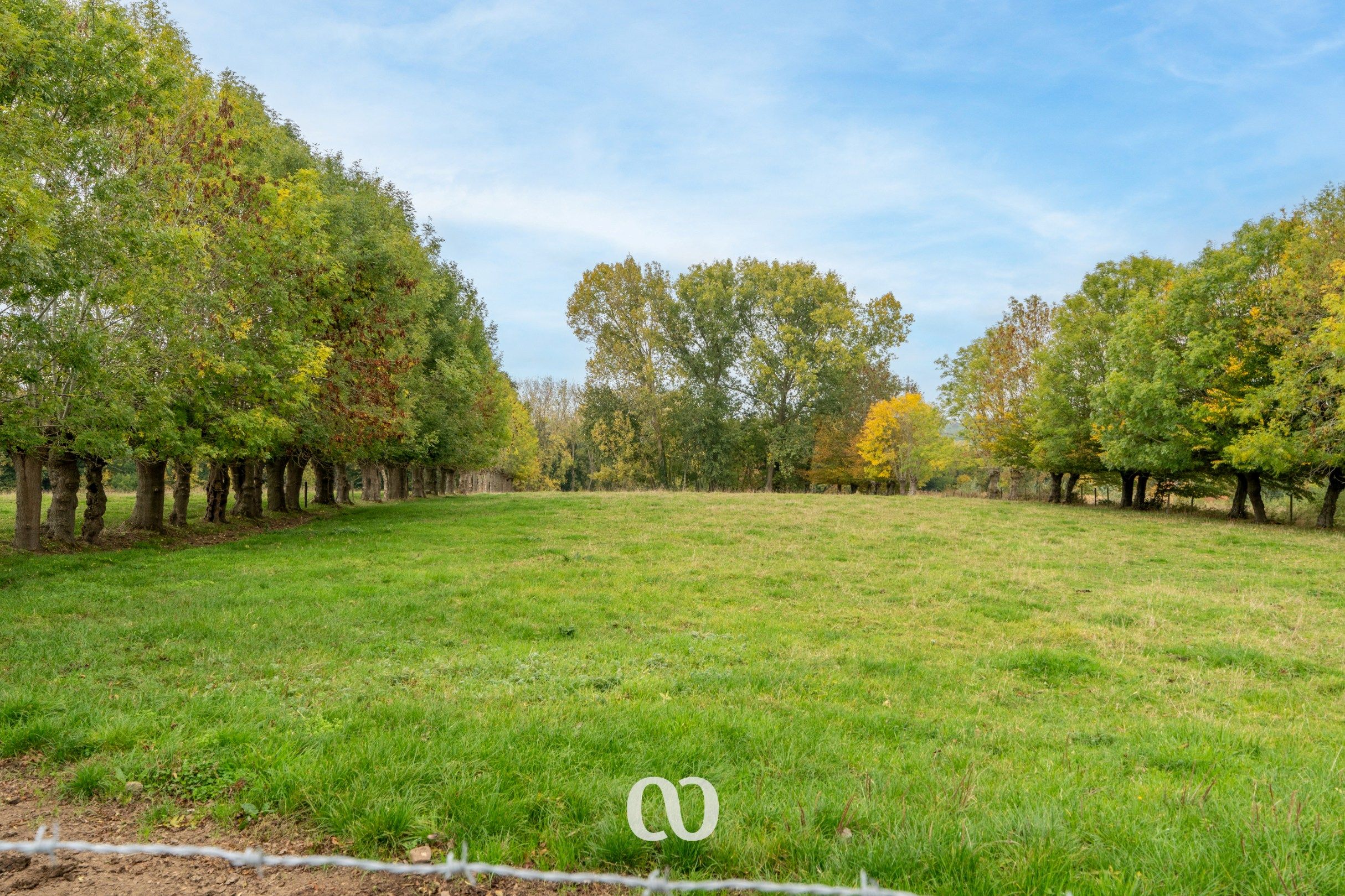 Subliem gelegen gerenoveerde hoeve foto 23