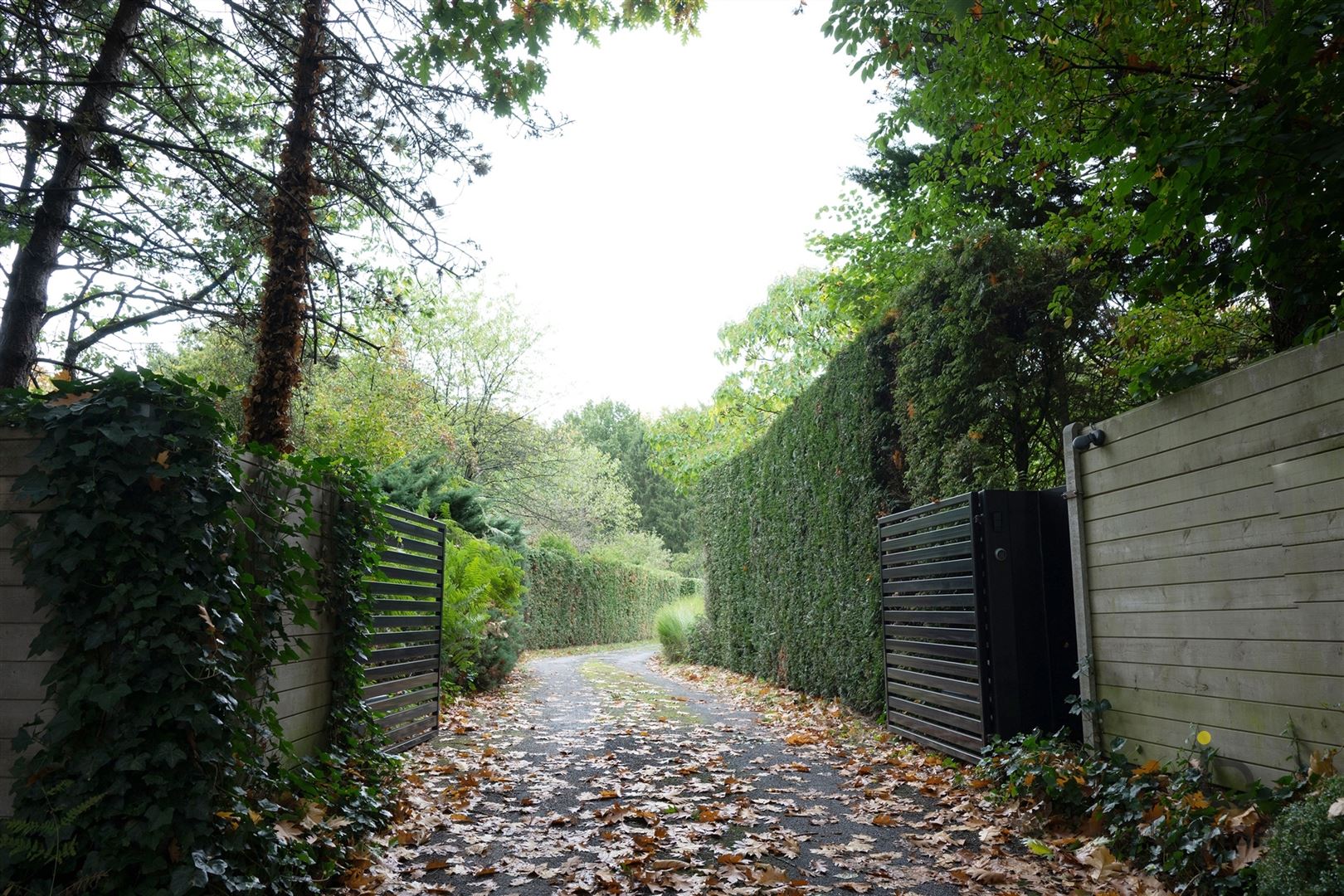 Gezellige instapklare woning met een prachtige groene tuin! foto 2